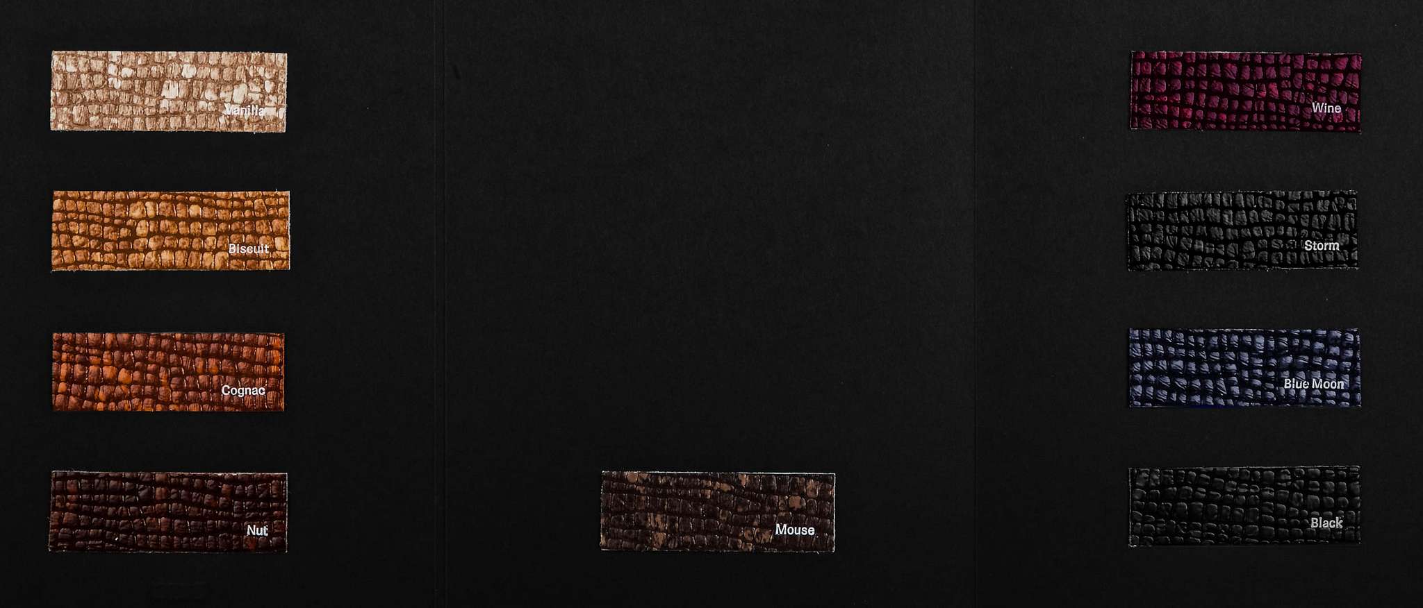 Bisio carta colori Ta.go srl